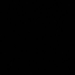 Meet your Posher, Alessandra